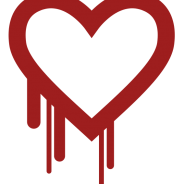 HeartBleed? – Not Here!